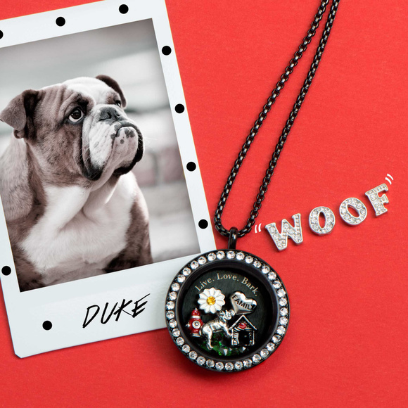 NEW Origami Owl Sterling Silver BULLDOG Charm - Picture 2 of 4